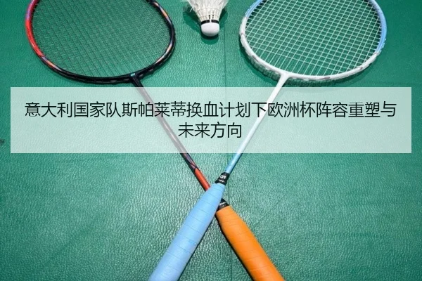 意大利国家队斯帕莱蒂换血计划下欧洲杯阵容重塑与未来方向